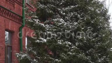 雪树靠近旧红砖建筑1819世纪冬季降雪白天。 旧<strong>旅</strong>馆或<strong>旅舍</strong>